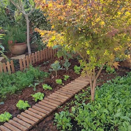 Breza * Σίμπενικ