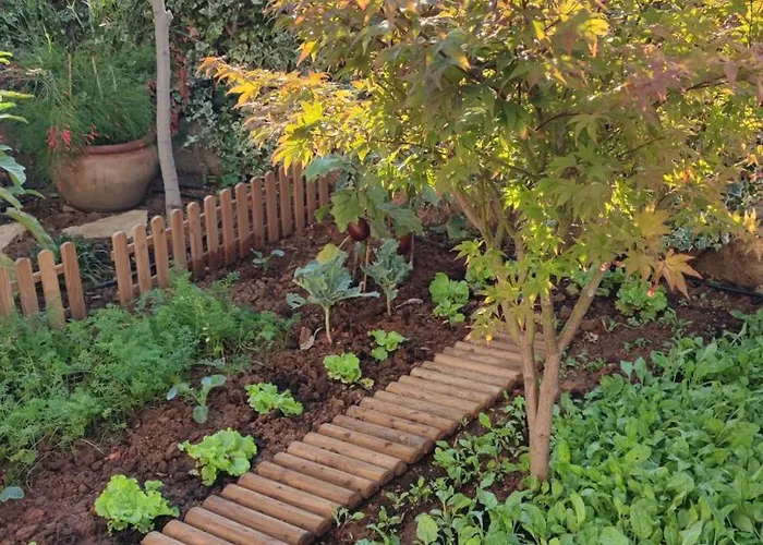 Breza * Σίμπενικ